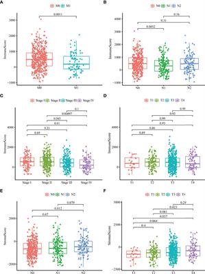 A Systematic Framework for Identifying Prognostic Genes in the Tumor Microenvironment of Colon Cancer